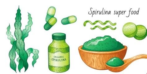 The Invisible Living World Beyond Our Naked Eye Chapter Notes Chapter Notes For Class Pdf