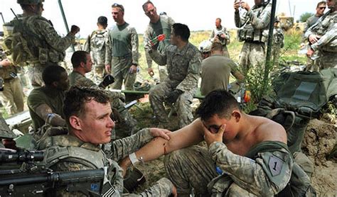 Poppies A Target In Fight Against Taliban The New York Times