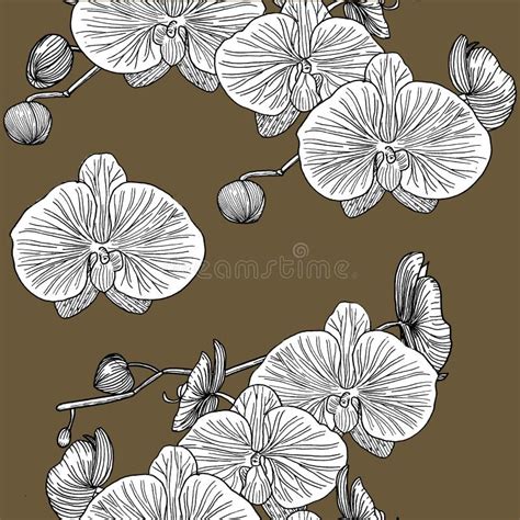 Seamless Pattern With Orchids Hand Drawn Stock Illustration