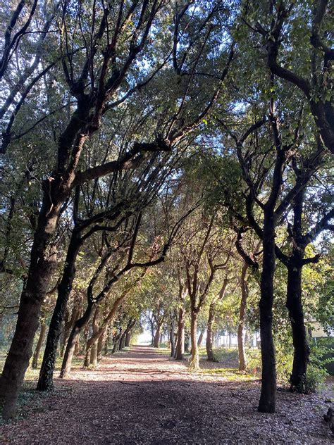 Trust and Wait for Events to Unfold and Cycles to End | by Luca - My