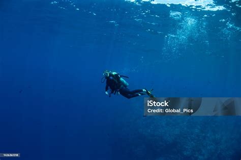 Diving In Palau Micronesia Stock Photo - Download Image Now