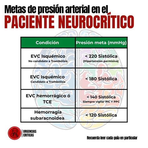 Pacientes neurocriticos EVC ACV TCE TBI presión arterial Anime Brain