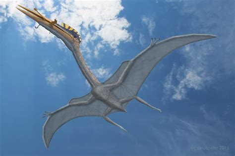 Hatzegopteryx - Facts and Pictures