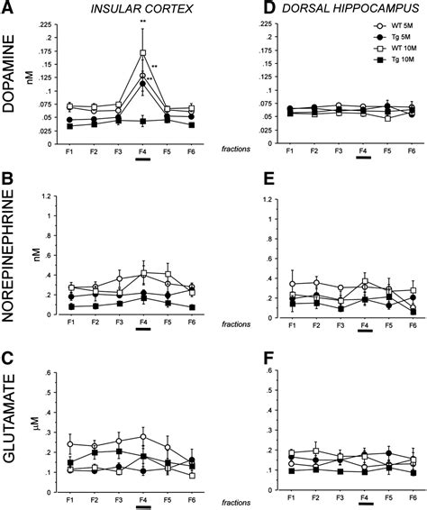 Restoration of dopamine release deficits during object recognition ...
