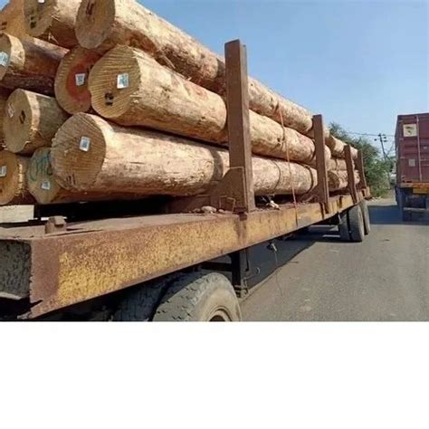 Brown New Zealand Pine Wood Logs For Furniture Us Delivery At Rs 820