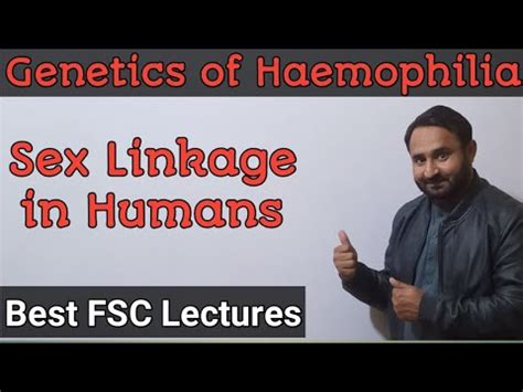 Genetics Of Haemophilia Sex Linkage In Humans Class 12 Biology YouTube