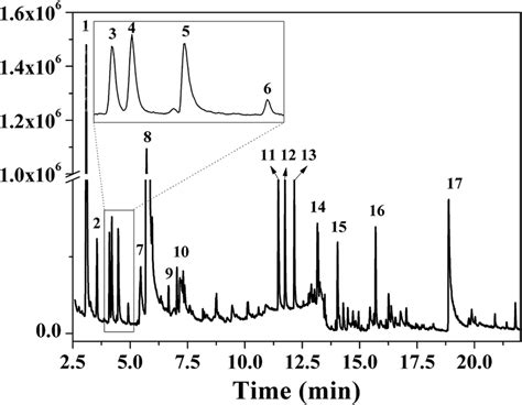 Py Gc Ms Chromatogram Of The P Pi At 600 C Download Scientific Diagram