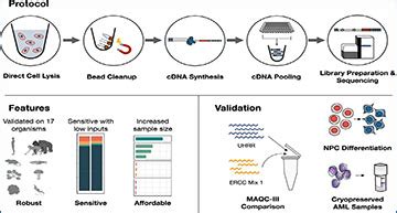 Prime Seq The Most Efficient Method For RNA Seq Currently Available