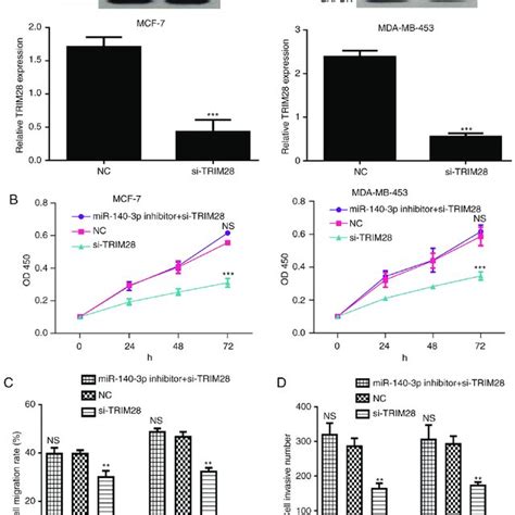 Mir P Regulates Cell Proliferation Migration And Invasion Through