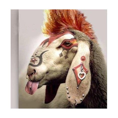 Le Mariage Gay Et La Lutte Des Cat Gories Agoravox Le M Dia Citoyen