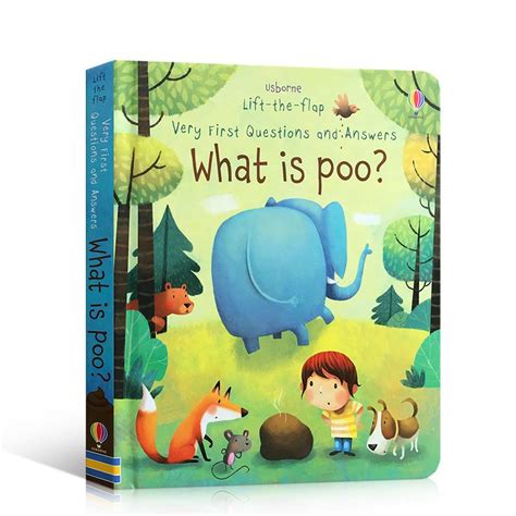 Usborne Lift The Flap Very First Questions And Answers What S Inside