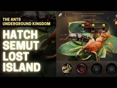 Koleksi Semut Lost Island The Ants Underground Kingdom YouTube