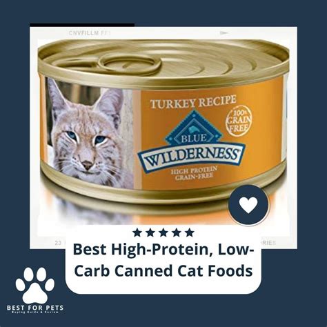 15 Best High Protein Low Carb Canned Cat Foods