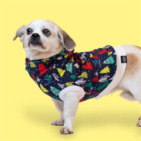 The North Pole The Long Dog Clothing Co