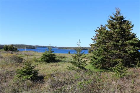 Cottage Property for Sale in Guysborough County, NS | Dignam Land