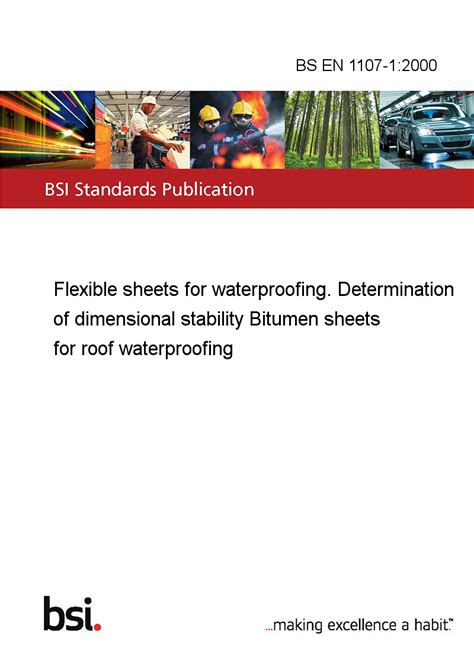 BS EN 1107-1:2000 Flexible sheets for waterproofing. Determination of ...