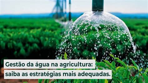 Gestão da água na agricultura saiba as estratégias mais adequadas