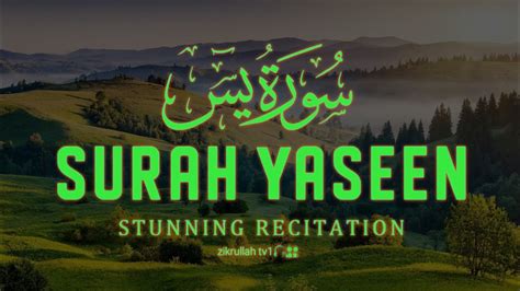 Surah Yasin Yaseen Full With Arabic Beautiful Recitation یس سورہ 36 0087