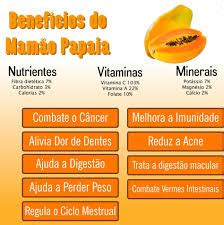 O Leite Do Mamão Queima A Pele - Leite de Mamão Queima a Pele? Quais os Efeitos? – Mundo Ecologia