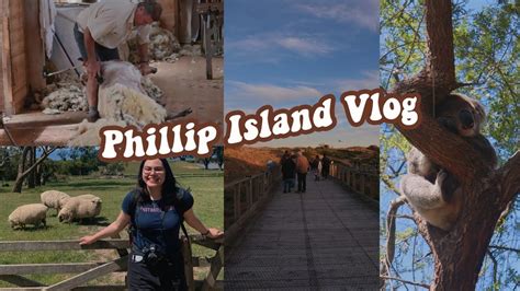 Phillip Island Trip Vlog Seeing Koalas Penguins Milking Cows And