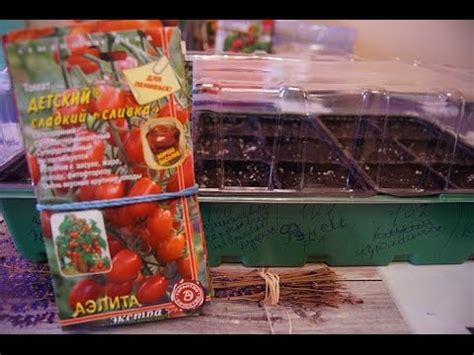 СЕЕМ ТОМАТЫ, ДЕТЕРМИНАНТНЫЕ СУПЕРДЕТЕРМИНАНТНЫЕ - YouTube