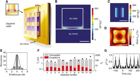 Quantum Emitters Coupled To Plasmonic Nanostructure A Schematic Of