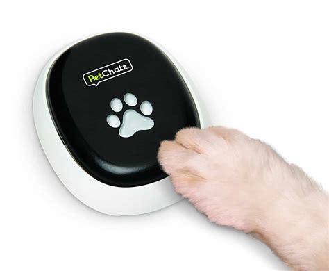 p2 – Purrpetrators