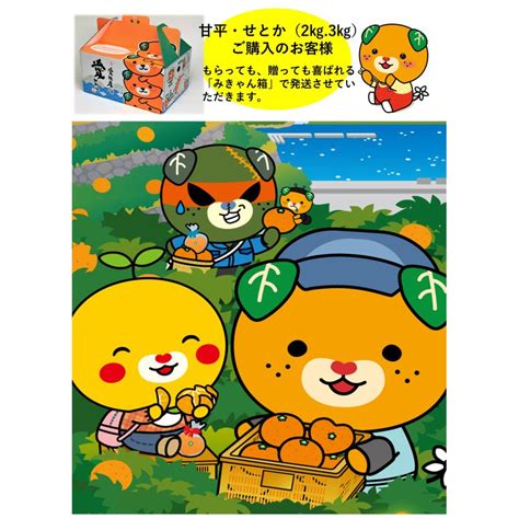 甘平（かんぺい）2kg 送料無料 愛媛県産 : えひめ活き生きファーマーズ - 通販 - Yahoo!ショッピング