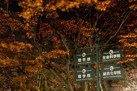 Dsc01276 Flickr