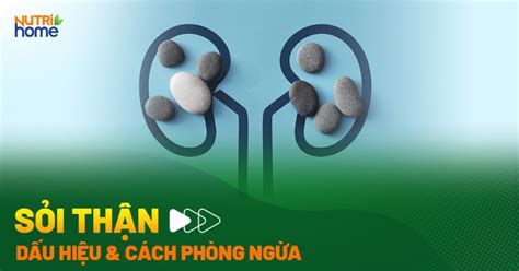 Sỏi thận Dấu hiệu nguyên nhân cách điều trị và phòng ngừa