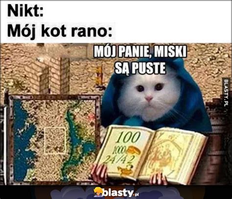 M J Kot Jest Nie Jest G Upi Memy Gify I Mieszne Obrazki Facebook