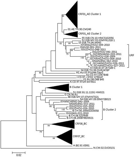 The Phylogenetic Tree Based On Partial Pol Gene Fragment Of Hiv 1 The