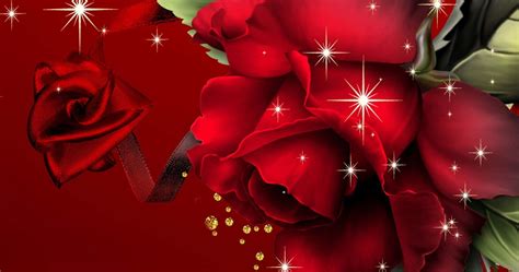 Download Dark Red Background Red Roses Laptop Wallpaper