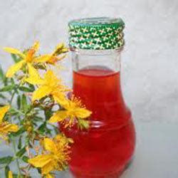 St. John's Wort Oil, St. John's Wort Oil Manufacturer