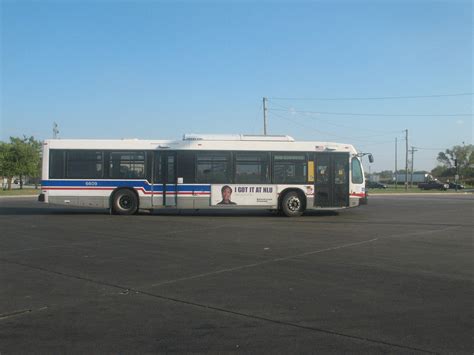 Unusual Bus Sightings - CTA Bus - Chicago Transit Forum