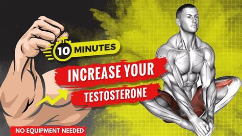 Min Workout To Increase Testosterone Levels Workout No Equipment