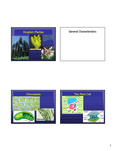 Kingdom Plantae Lecture Slides General Biology Ii Biol 1020 Docsity