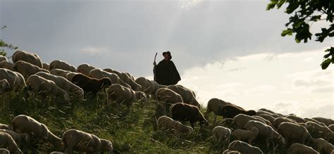 Aktuelles vom Schäfer | Genuss vom Schäfer