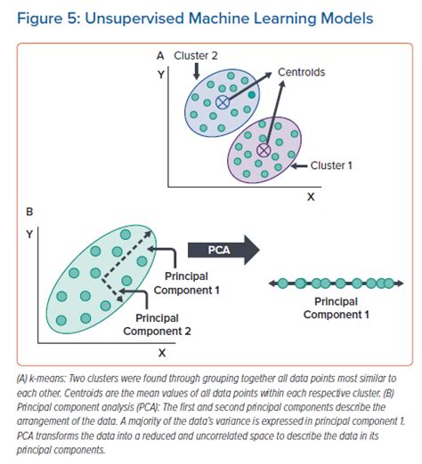 Unsupervised Machine Learning Models Radcliffe Cardiology