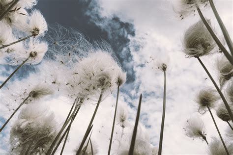 Does Fresh Air Make You Tired? | Sleep Matters Club