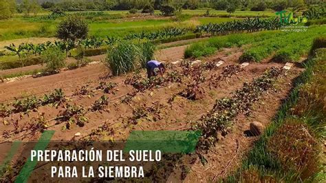 Preparación Del Suelo Para La Siembra Tvagro Por Juan Gonzalo Angel