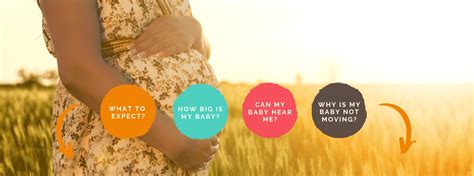 Can You Have Sex While Pregnant Will It Harm The Baby