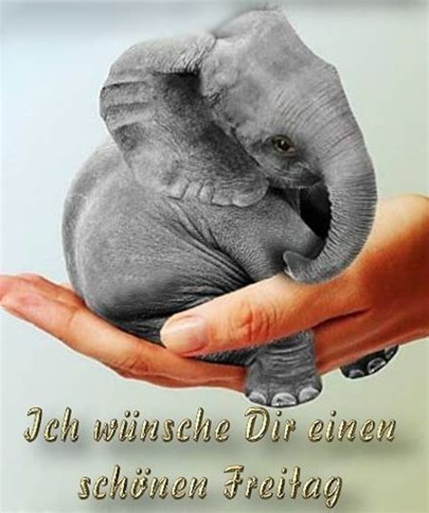 Магазин Слоненок Рыбинск Каталог — Tutshoping.ru