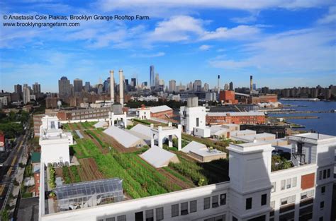 The Deanne King Bio Examining The Architect Behind The Brooklyn Grange Story