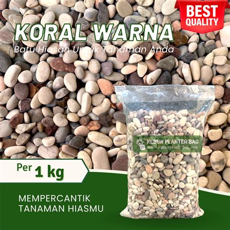 Jual Batu Koral Warna Warni Kg Batu Alam Tanaman Hias Shopee Indonesia