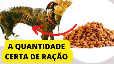 Ração Para Cachorro Engordar