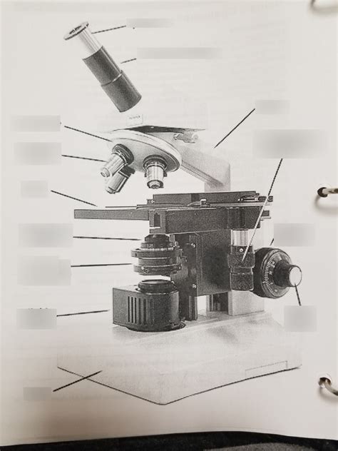 Light Microscope Diagram With Labels at Krista Sims blog