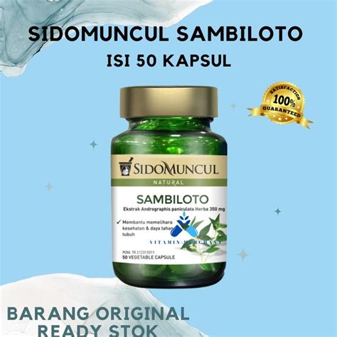 Jual Sido Muncul Natural Ekstrak Daun Sambiloto Kapsul Daya Tahan