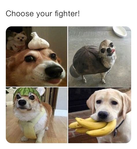 choose  fighter atmemes memes