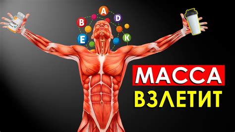 Все Что Нужно Знать про Спортивное Питание для Набора Мышечной Массы ...